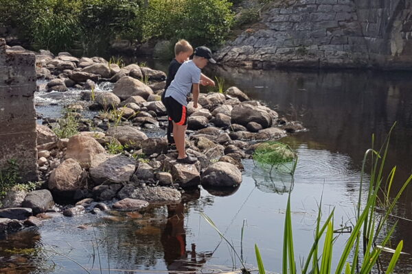 Kräftfiske för barn 3 Augusti