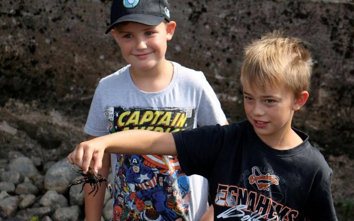 Du visar för närvarande Prova på kräftfiske med Tibro Sportfiskeklubb!