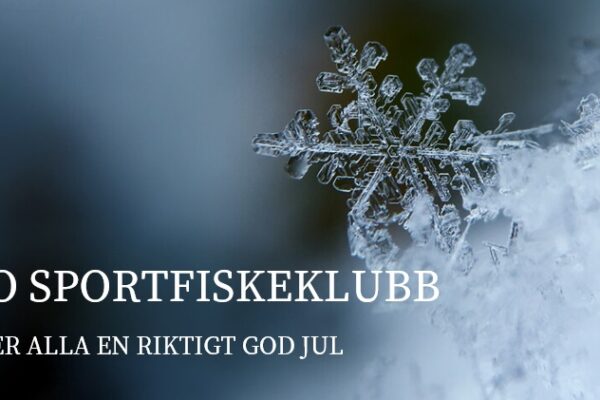 GOD JUL